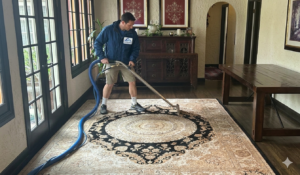 Gemini_Generated_Image_ha3it3ha3it3ha3i